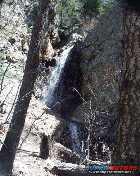 Waterfall cascading down rocks in a forest with trees and fallen logs