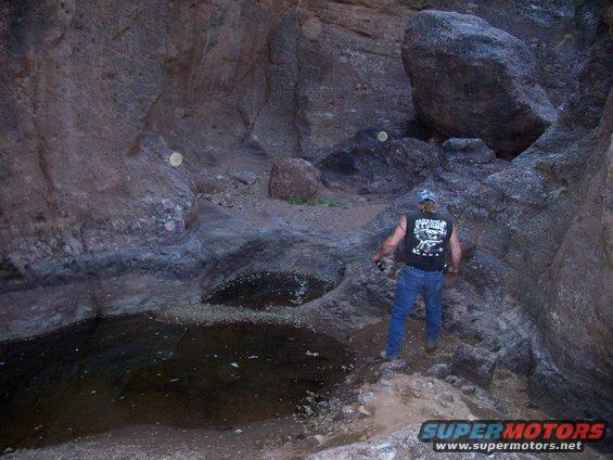 cougar/mtn lion hide out in the back/top of the mountain we were climbing. had water pools (in the desert?) and shade tree to the left. were big cat prints in the mud around the water and bird feathers everywhere. kitty wasnt home though.