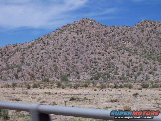 102_0825.jpg outside of tucson arizona 