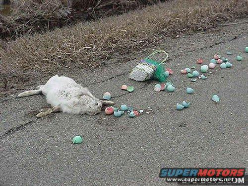 Dead rabbit on road next to broken Easter eggs and a basket