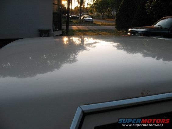 Reflection of trees and sky on a car hood. Another car is visible in the background