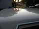 1985 Ford Crown Victoria LTD - The sun sets, casting reflections on the hood of a car.