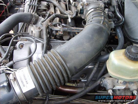 Engine bay with air intake hose, hoses, and engine oil label