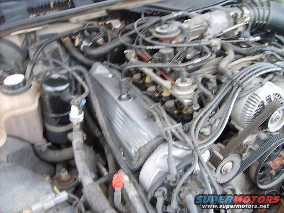 Engine bay of a 1993 Ford Crown Victoria, showing the V8 engine, alternator, and various hoses and wires