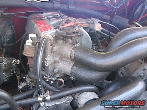 Engine bay with hoses and engine components