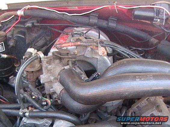 engine bay with hoses and wiring