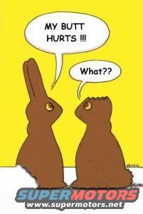 Two chocolate bunnies, one with a broken head, talking about pain