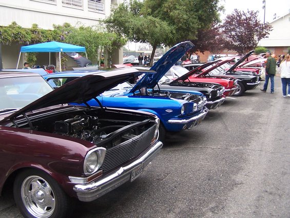 Several classic cars parked in a row, hoods up, at an outdoor car show