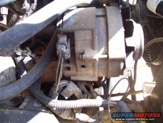Close-up of an alternator with wiring harness and hoses in an engine bay