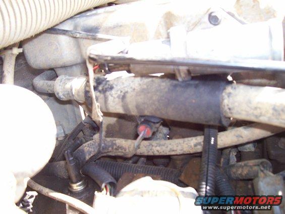 close-up of hoses and wiring in an engine bay
