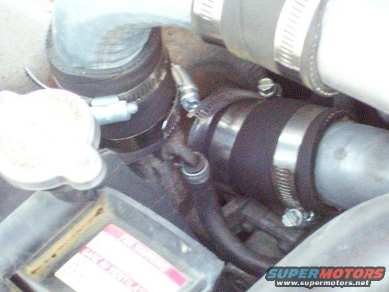 Engine bay close-up showing metal and rubber hoses secured with hose clamps