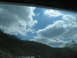 1995 Ford C-350 (Centurion Conversions) - A view of the sky and trees from inside a vehicle, possibly on a highway.