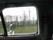 1995 Ford C-350 (Centurion Conversions) - Looking out the window of a vehicle at the passing scenery.