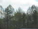 1995 Ford C-350 (Centurion Conversions) - A blurry view of trees and sky, likely taken from a car window.