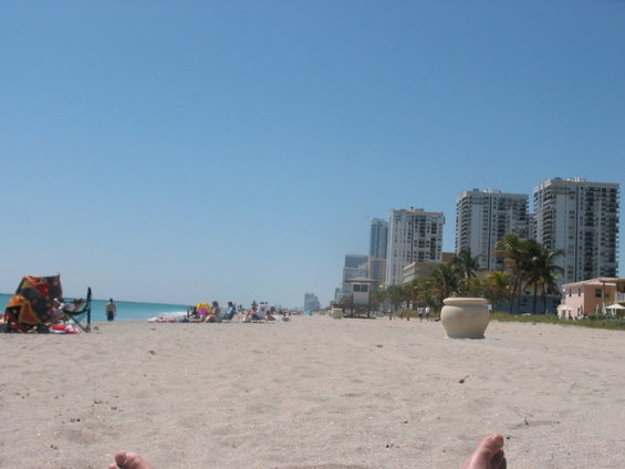 Beach with people, buildings, and palm trees under a clear blue sky