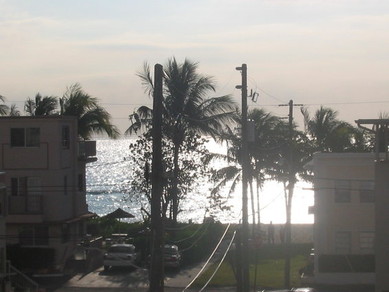 Beach scene with palm trees and buildings