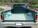 1977 Ford F-150 - Rear view of a green 1977 Ford F-150 pickup truck, showing the empty bed and tailgate.