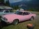 1970 Mercury Cougar - A pink 1977 Oldsmobile Cutlass Supreme coupe sits in a grassy area with mountains and a lake behind it.