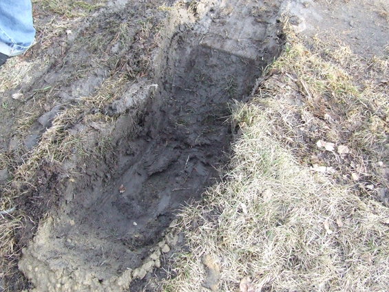 Tire tracks in muddy ground with dry grass