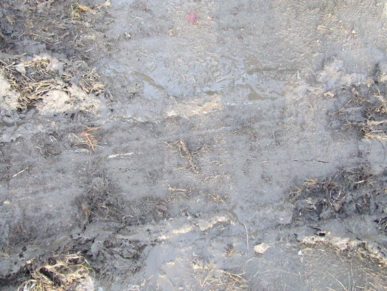 Muddy ground with tire tracks and some grass
