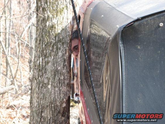 Person looks out vehicle window wedged between a tree and the vehicle body