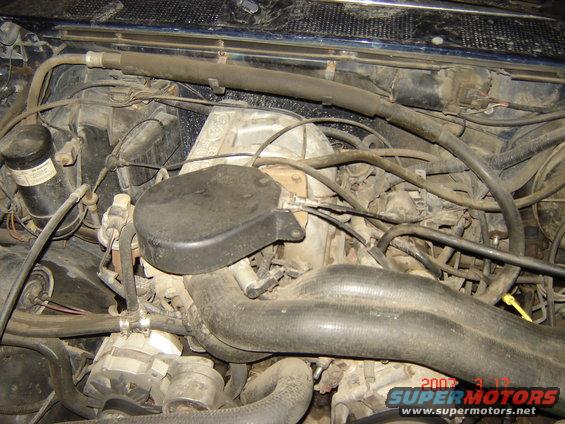 engine bay with hoses, wires, and engine components visible
