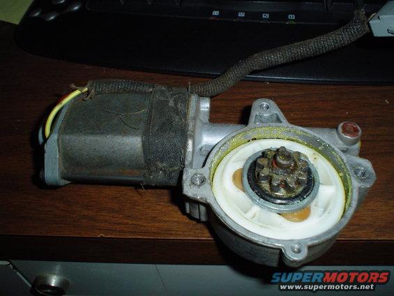 Passenger Window Motor