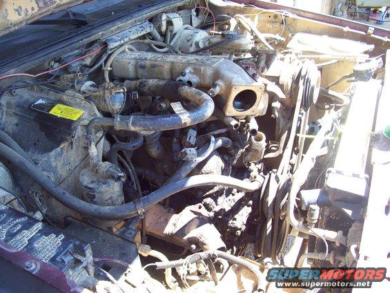 engine bay with hoses, belts, and engine block visible