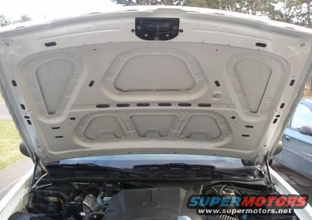 White car hood open, showing engine bay and part of a blue car behind