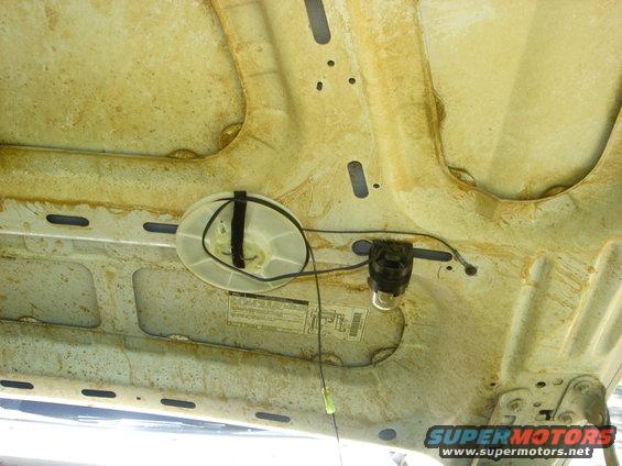 original-setup-sucked.jpg got a spool light that was broke and this was my original set up.