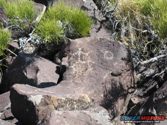 Petroglyphs carved into rocks in a dry, brushy area