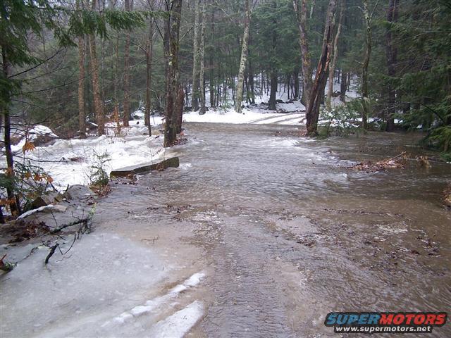 Flooded forest road with ice and snow