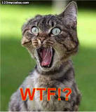 Cat with mouth open and eyes wide, text reads WTF!?