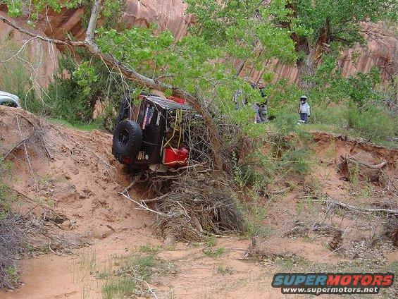 Black off-road vehicle tipped on its side, entangled in branches, with a spare tire visible