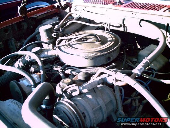 Engine bay with air cleaner, hoses, and engine components visible