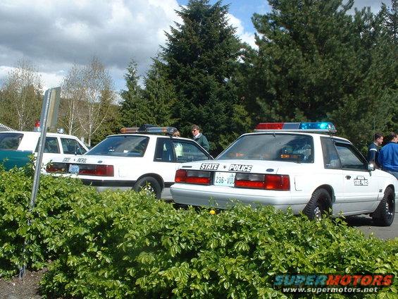 Two white police cars parked behind bushes. One has "STATE POLICE" on the trunk
