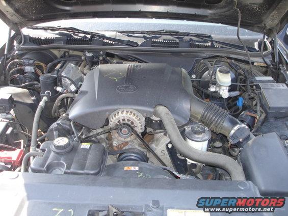 Engine bay of a 2001 Ford Crown Victoria, showing the V8 engine, alternator, and air intake system