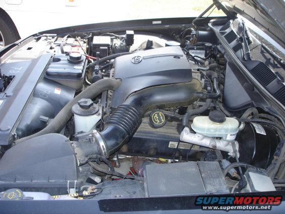 Engine bay of a 2001 Ford Crown Victoria, showing the V8 engine, air intake, and brake fluid reservoir