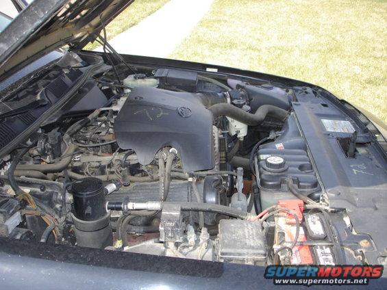 Engine bay with visible hoses, battery, and engine cover