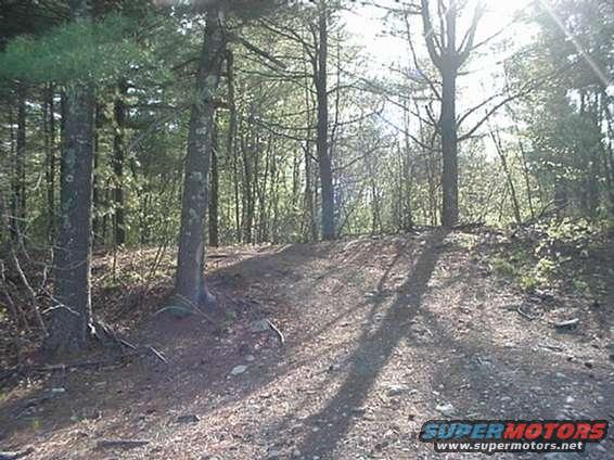 Forest path with trees and shadows, Supermotors logo in lower right corner