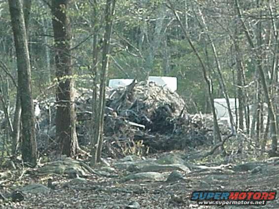 White vehicle partially obscured by debris in a wooded area