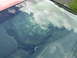1996 Ford Probe - Broken windshield. Definately wouldn't be able to drive with that.