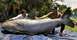 1995 Ford Bronco - 646 lb cat fish