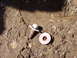 1996 Ford Bronco - A bolt and two washers lie on the dirt ground, with a watermark at the bottom right.