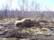 1996 Ford Bronco - A yellow pickup truck navigates a muddy terrain with trees in the background.