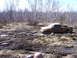 1996 Ford Bronco - A yellow pickup truck is stuck in a muddy, wooded area.