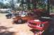2002 Ford Crown Victoria - Multiple cars are displayed outdoors with their hoods open, including a red sports car in the foreground.