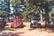 2002 Ford Crown Victoria - A gathering of classic vehicles parked outdoors under the shade of large trees.