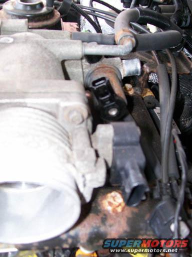 Close-up of engine components, showing a sensor and hoses connected to a throttle body