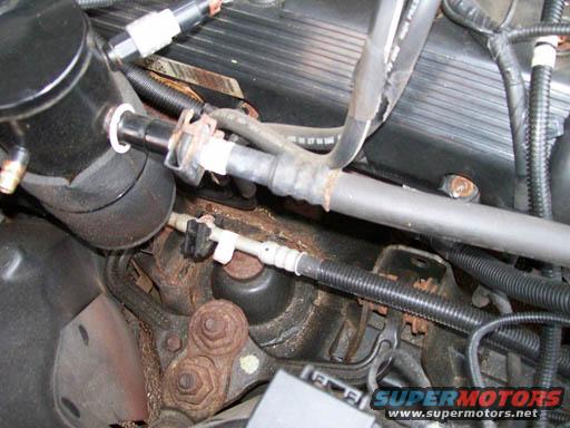 Engine bay hoses and connectors, some rust visible